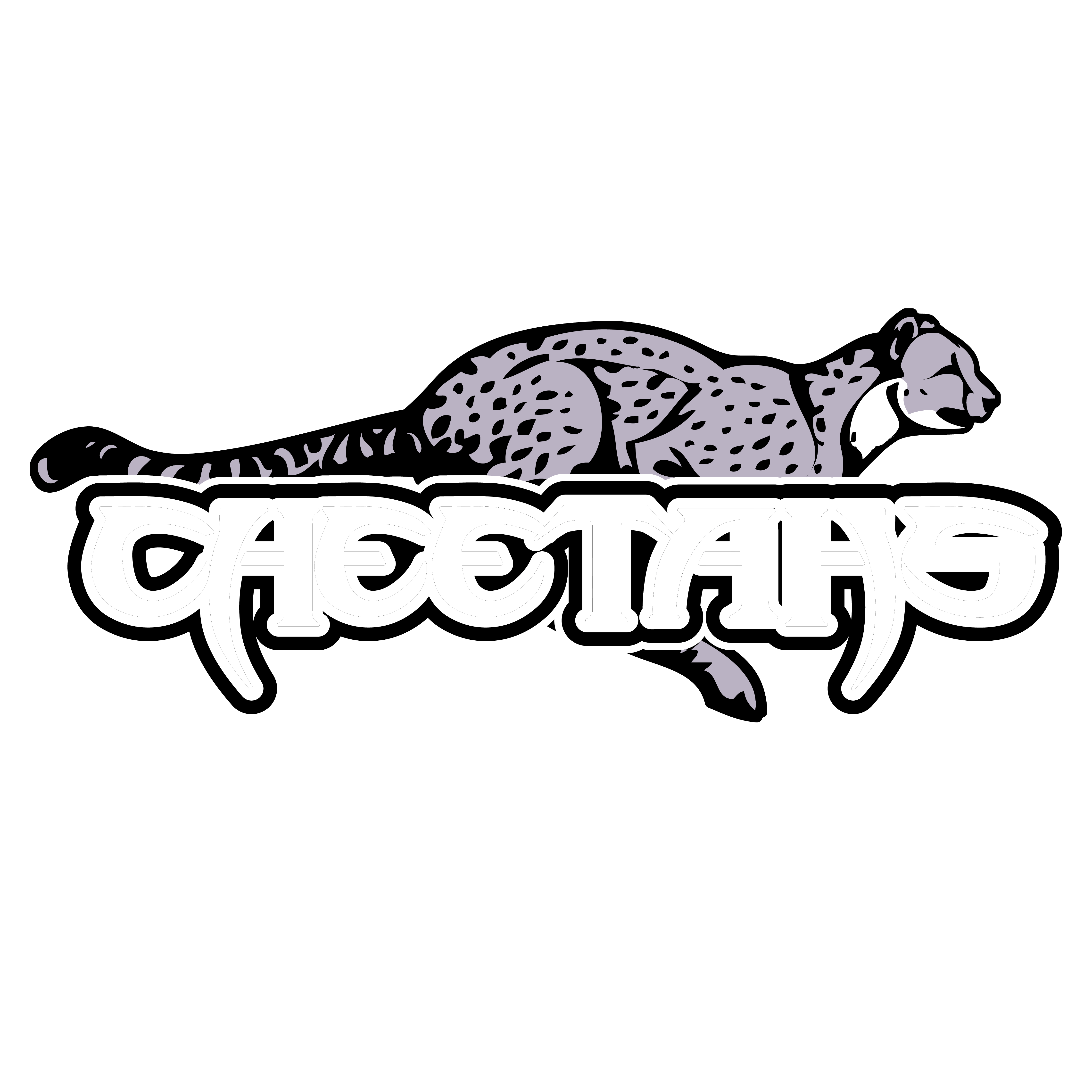 Team Logo